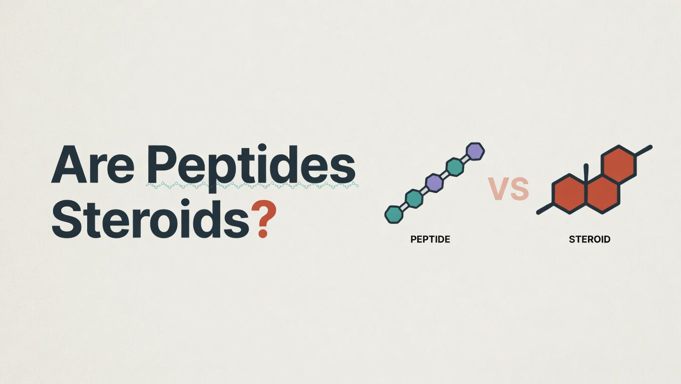 Are Peptides Steroids?