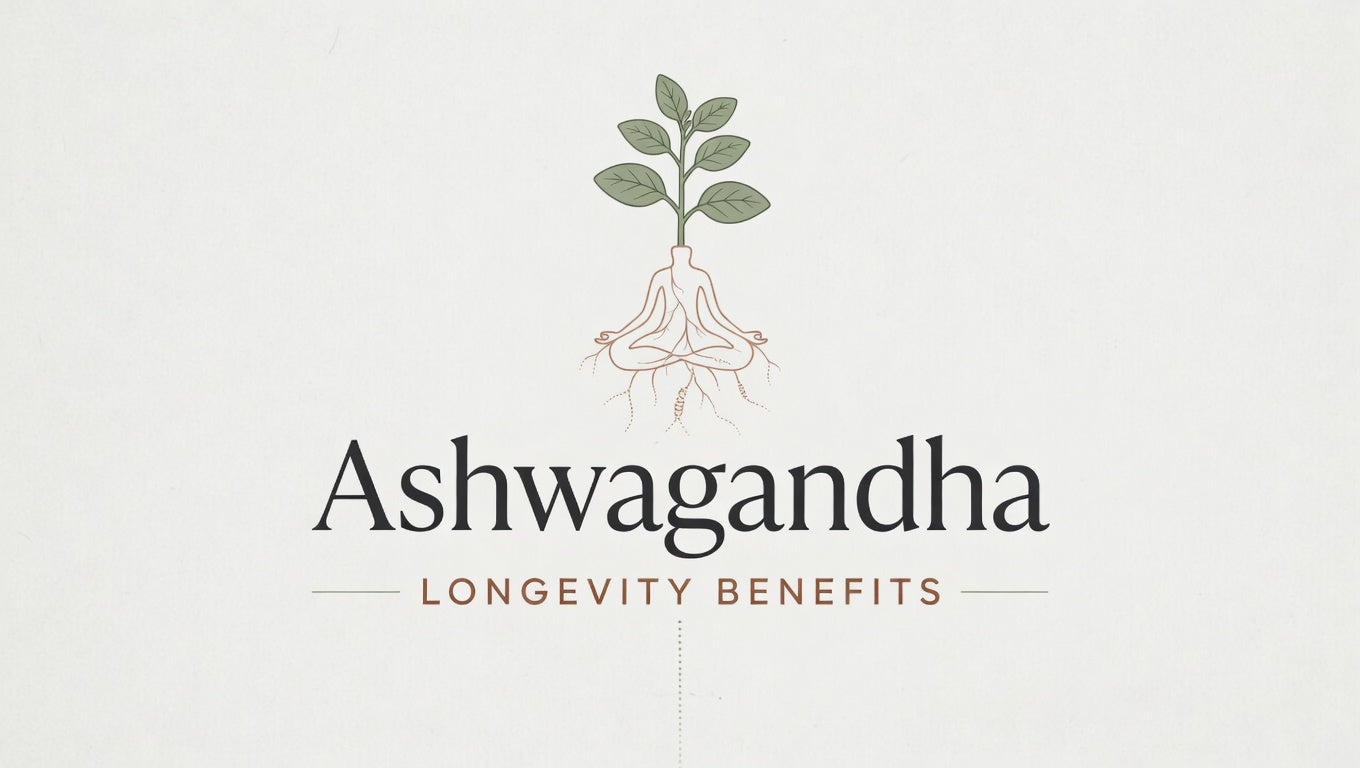 Ashwagandha Longevity Benefits