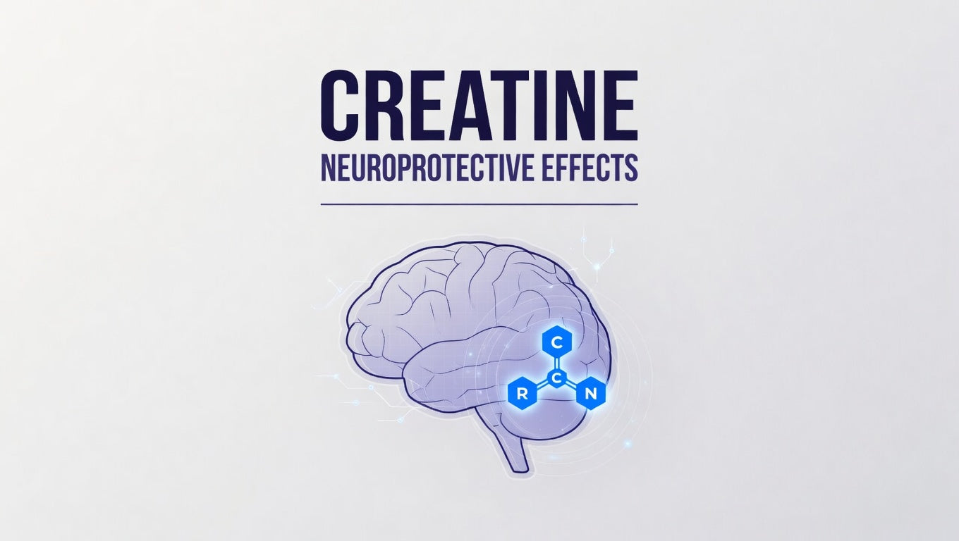 Creatine Neuroprotective Effects