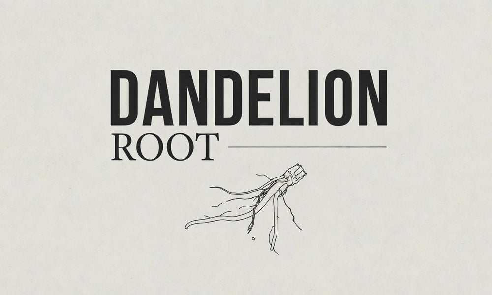 What Is Dandelion Root? An Honest Look at the Traditional Herb