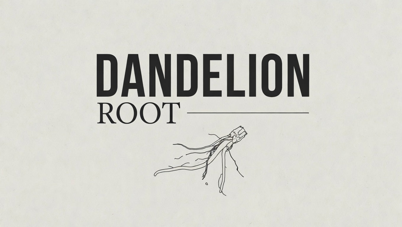 Dandelion Root