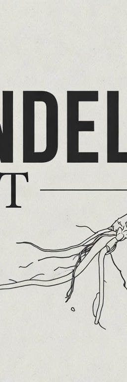 Dandelion Root