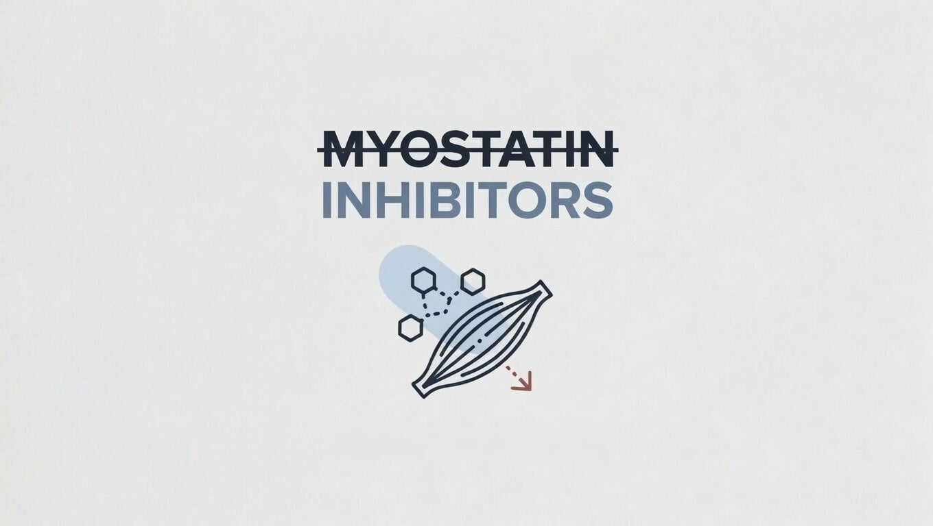 Myostatin Inhibitors