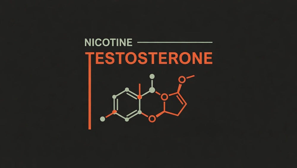 Nicotine And Testosterone