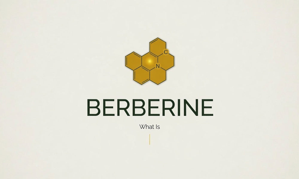 What Is Berberine? An Honest Look at 'Nature's Ozempic'