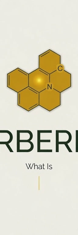 What Is Berberine? An Honest Look at 'Nature's Ozempic'