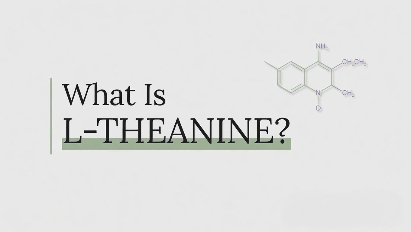 What Is L-Theanine?