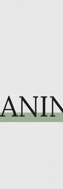 What Is L-Theanine?