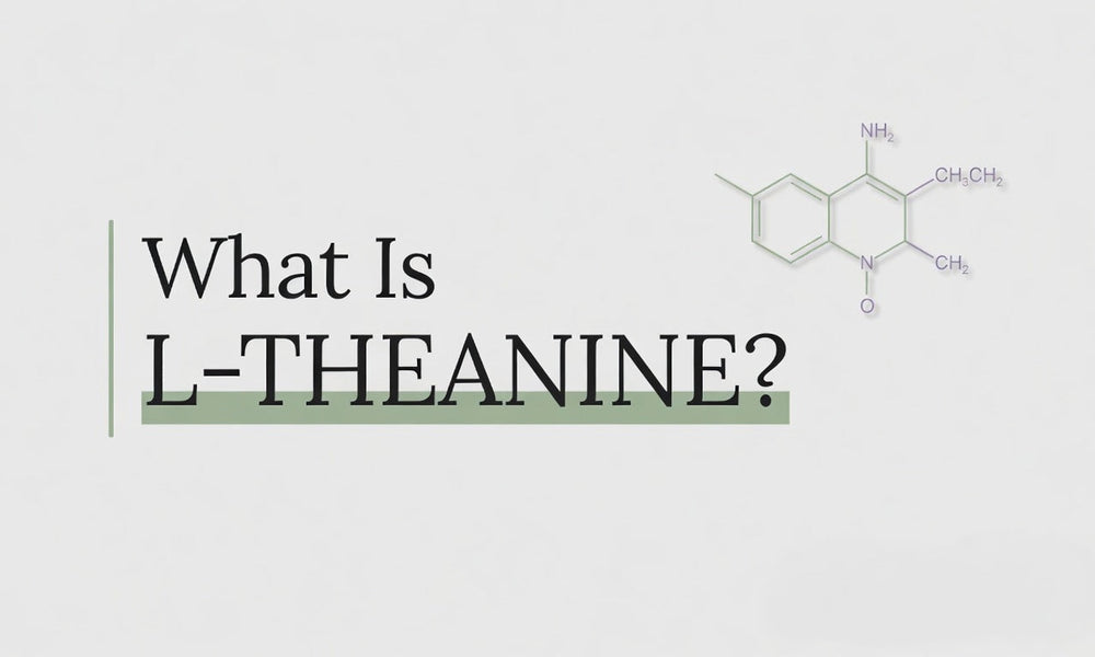 What Is Taurine? An Honest Look Past the Energy-Drink Myths