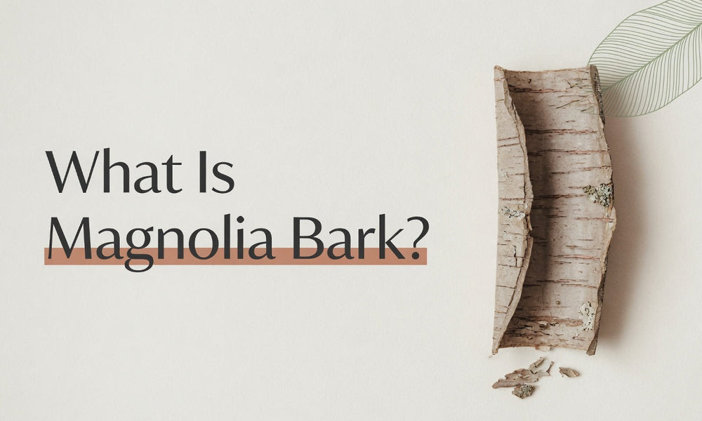 What Is Magnolia Bark? An Honest Look at the Sleep & Stress Herb