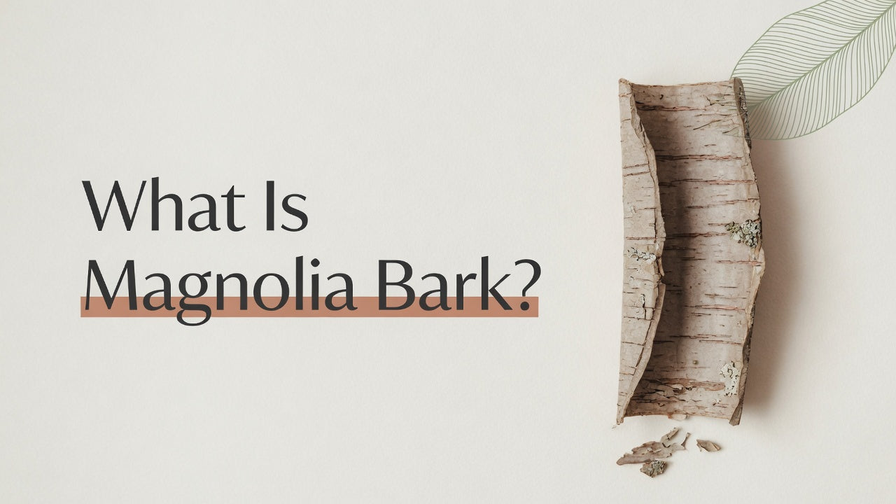 What Is Magnolia Bark?