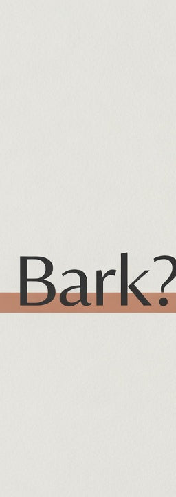 What Is Magnolia Bark?
