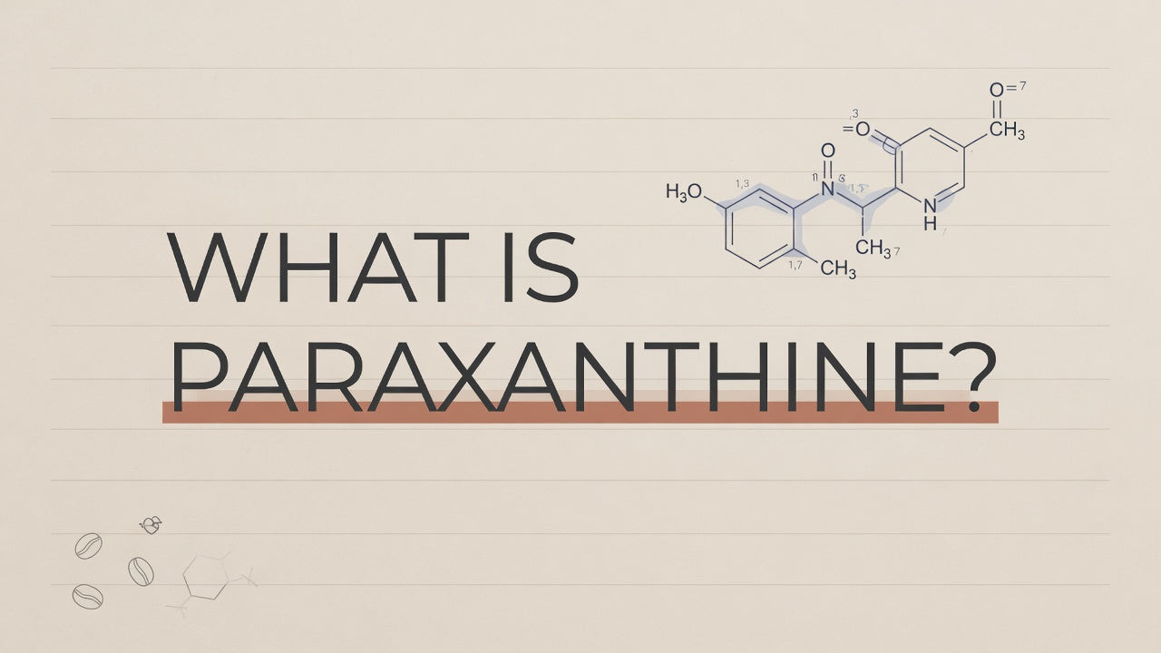 What Is Paraxanthine?