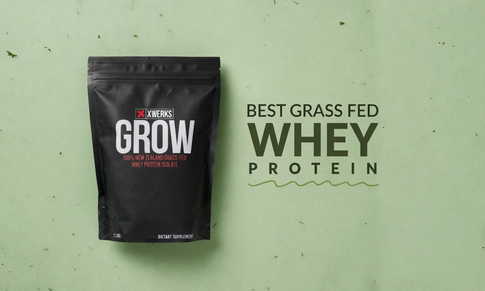 Best Grass Fed Whey Protein