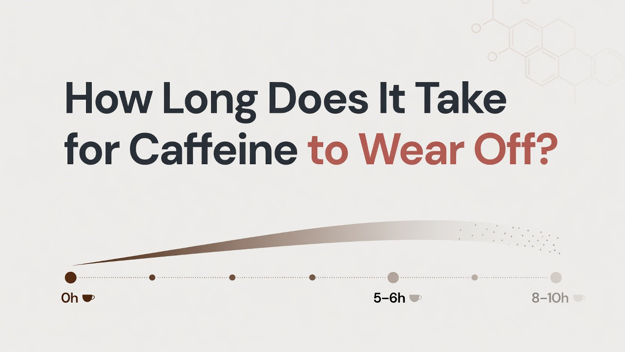 How Long Does It Take for Caffeine to Wear Off?