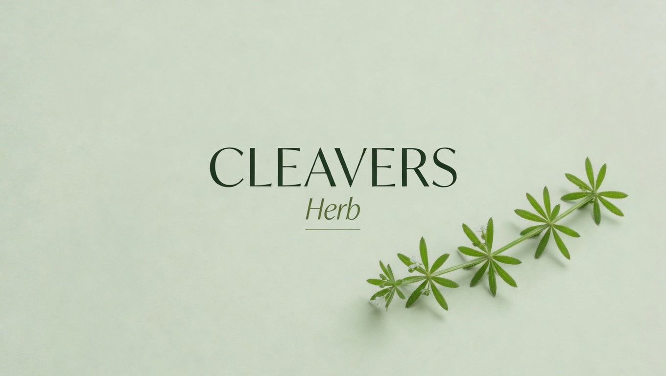 What is cleavers herb?