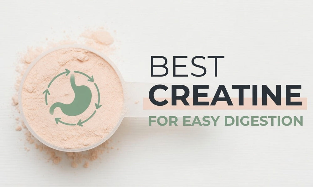 Best Creatine For Easy Digestion