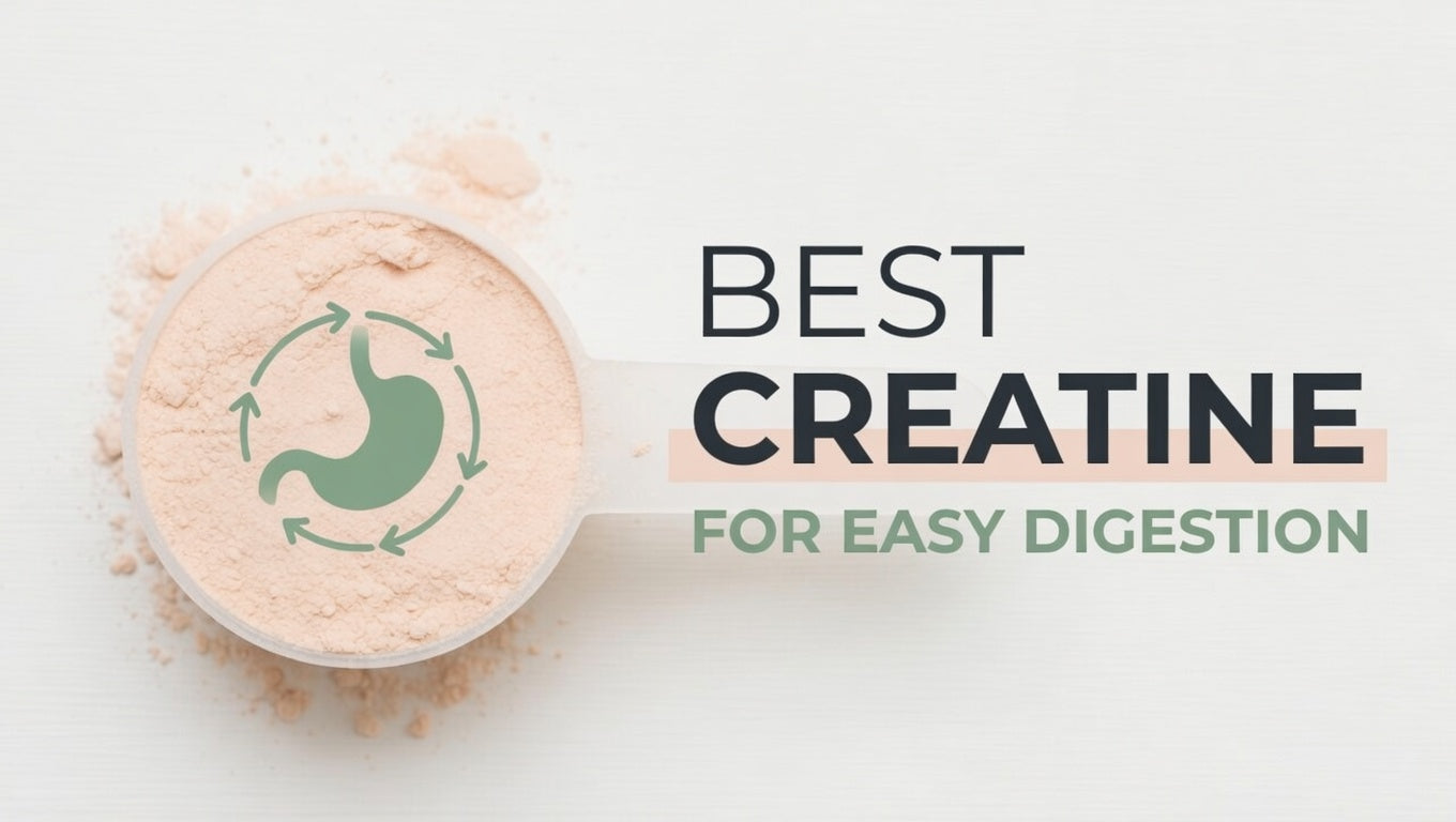 Creatine for easy digestion