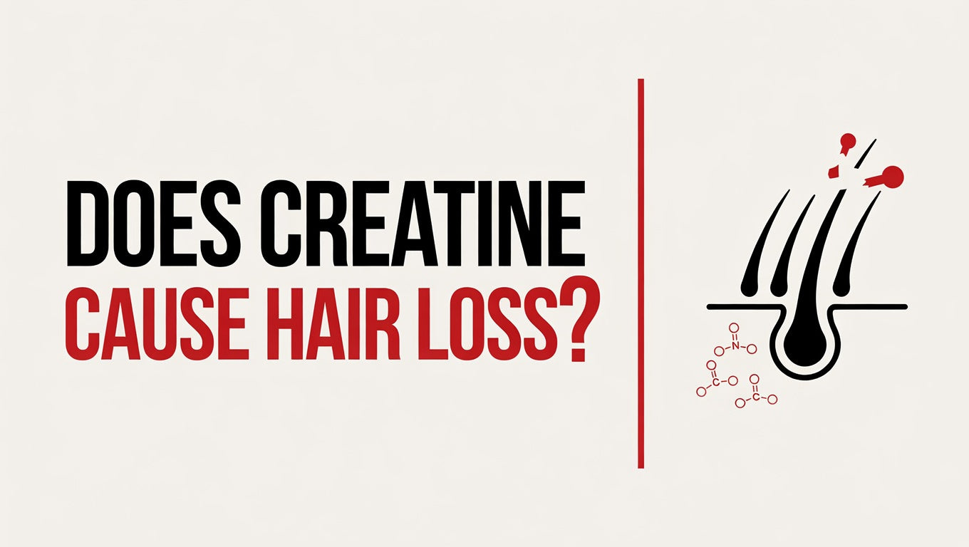 creatine hair loss