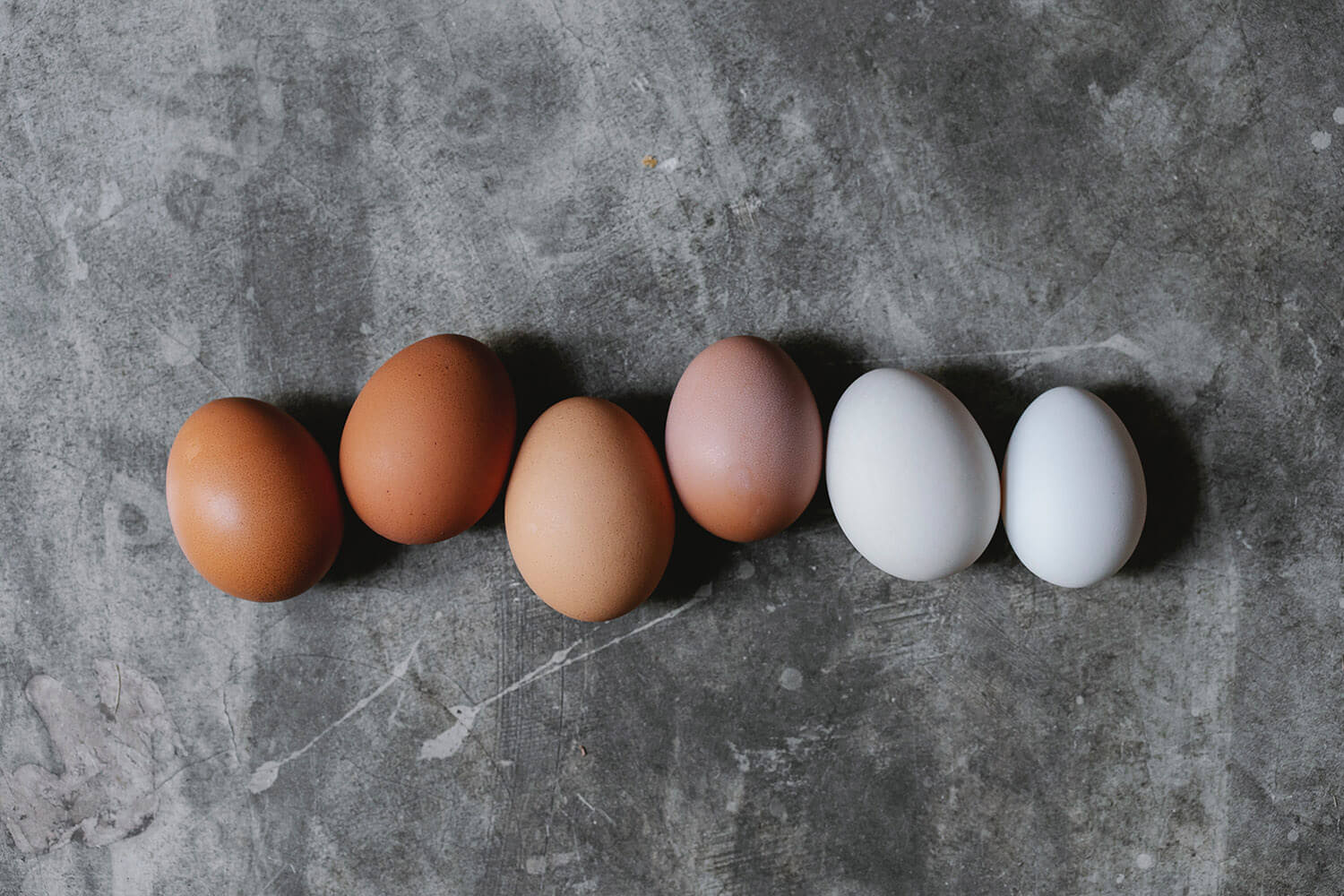 Balance your protein intake