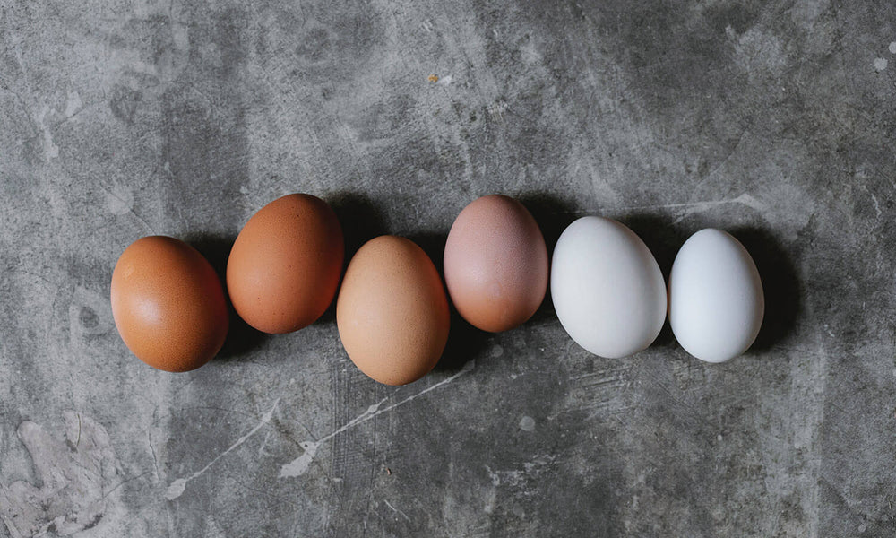 Balance Your Daily Protein Intake