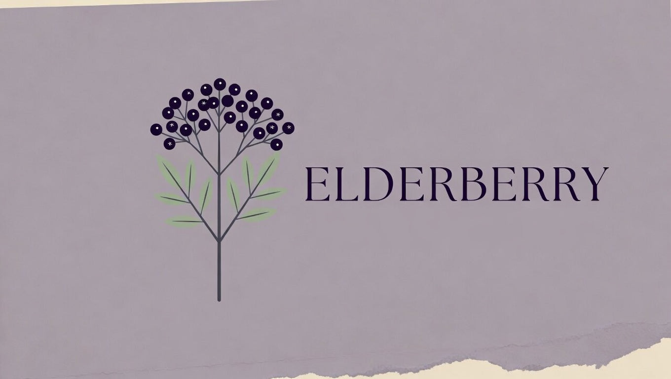 Elderberry