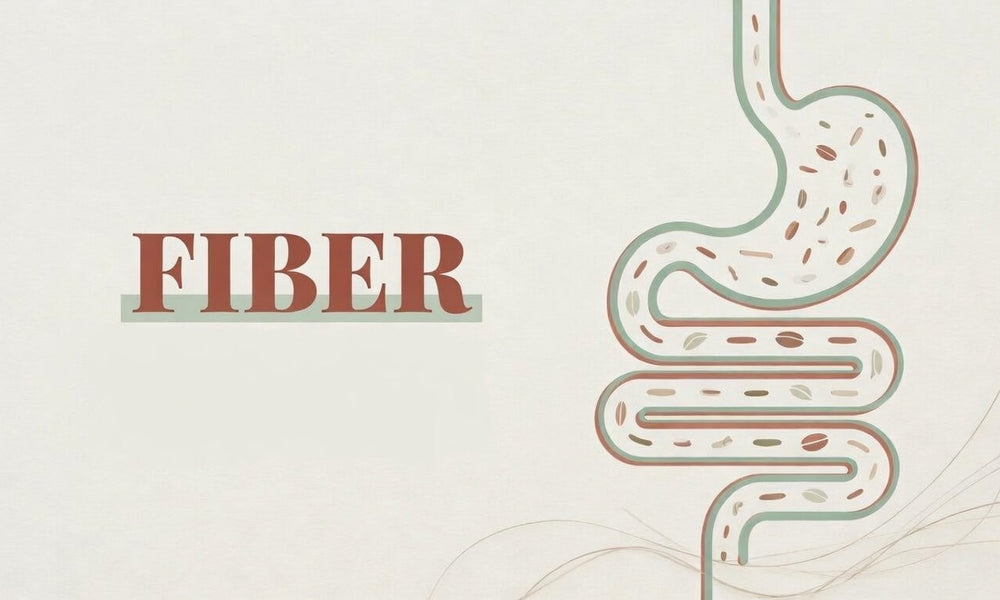 Fiber - Healthy Digestion