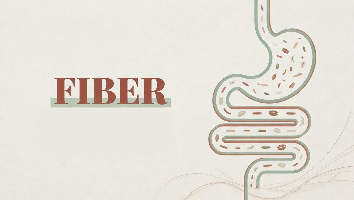 Fiber