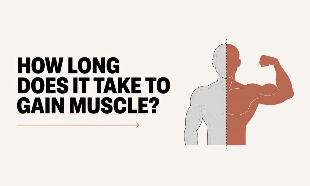 How Long Does It Take to Gain Muscle?