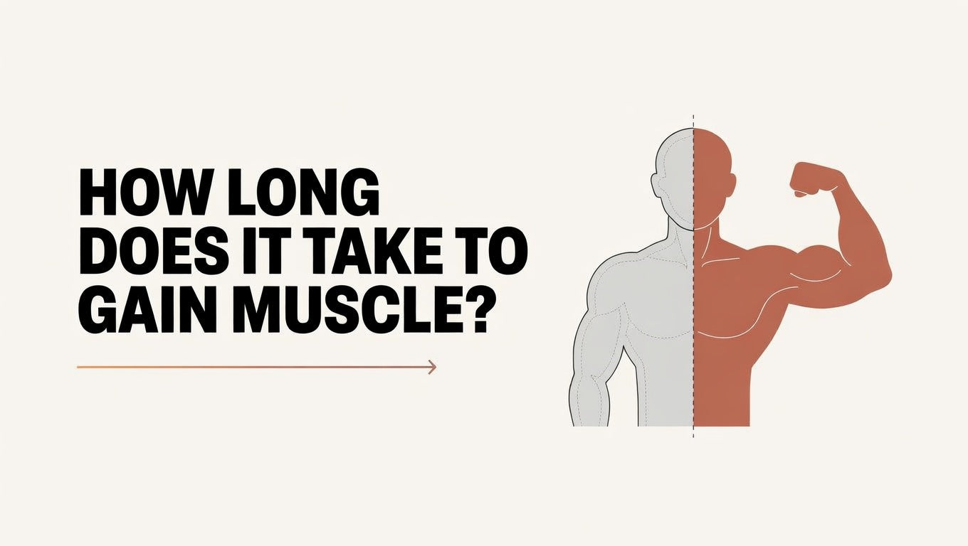 how long to gain muscle
