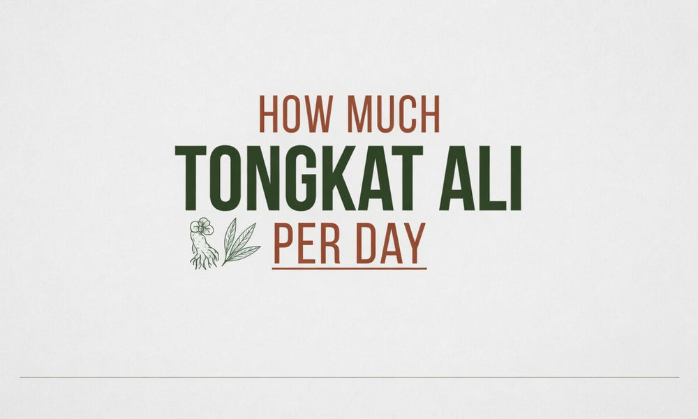 How Much Tongkat Ali Per Day