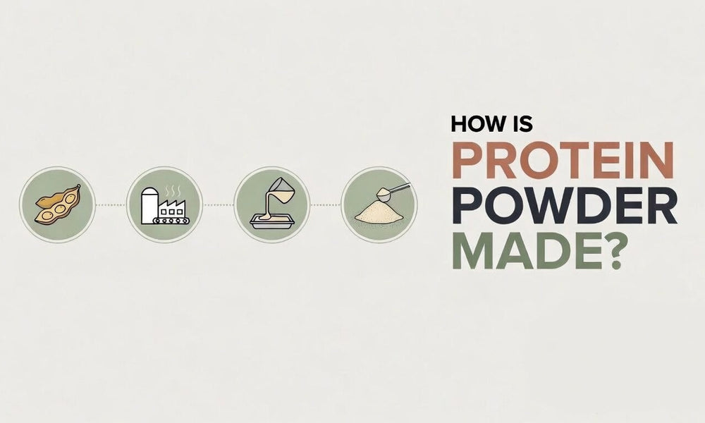 How Is Protein Powder Made