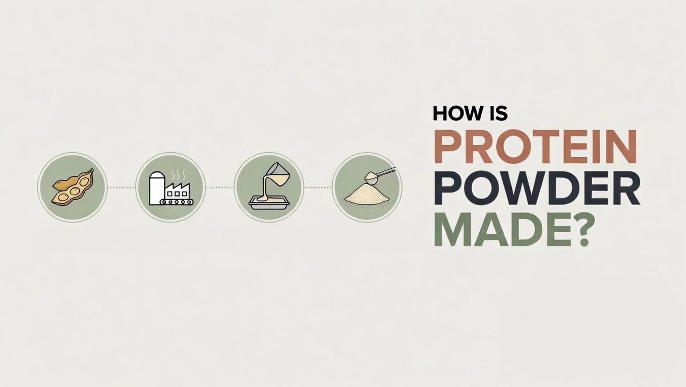 How Is Protein Powder Made