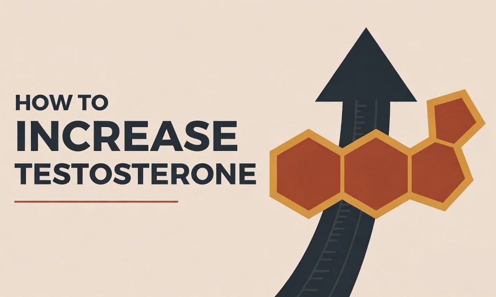 How To Increase Testosterone