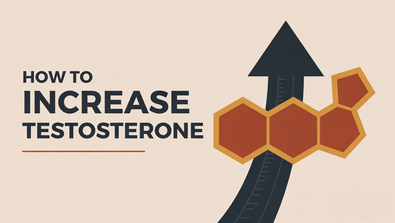 How to increase testosterone 