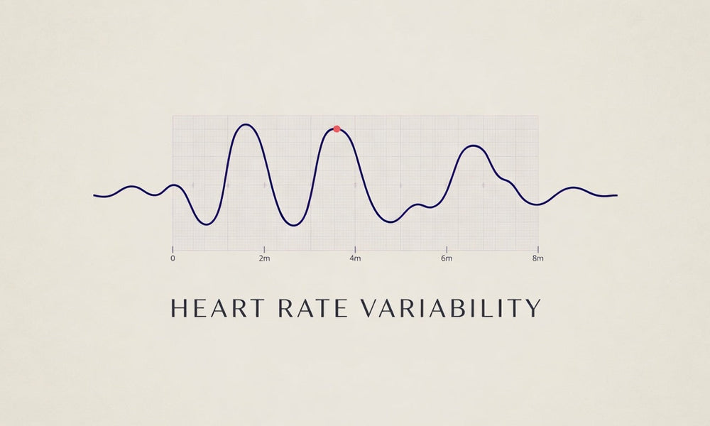 Heart Rate Variability: What It Is and Why It Matters
