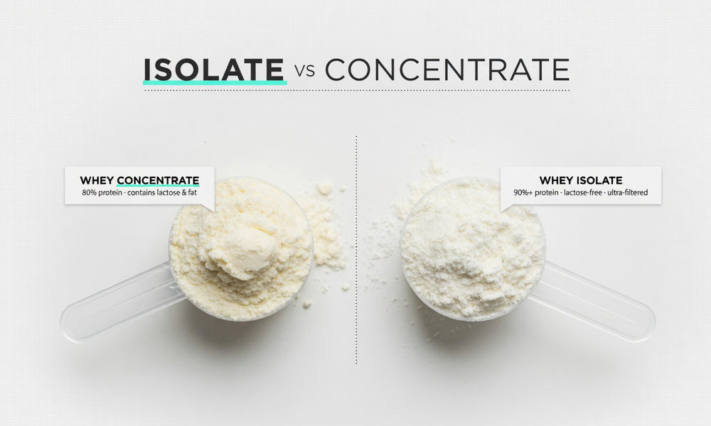 Whey Protein Isolate vs Concentrate: The Real Difference