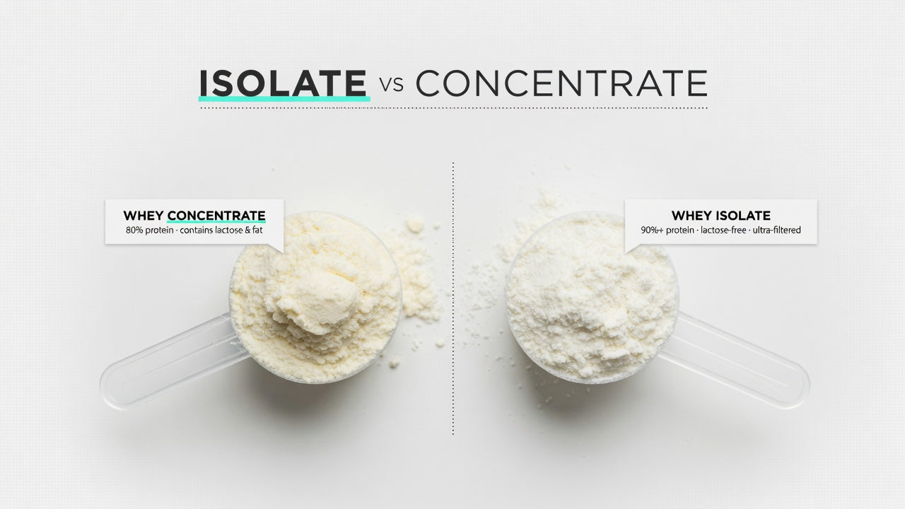 Whey isolate vs concentrate