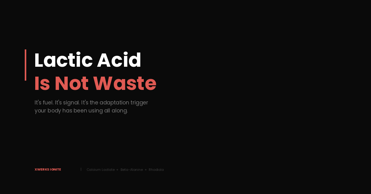 The Dance of Lactic Acid: Fuel, Fatigue, and Recovery