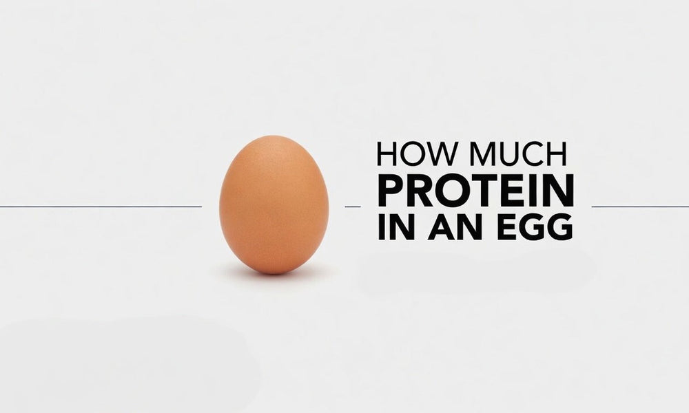 How Much Protein In An Egg