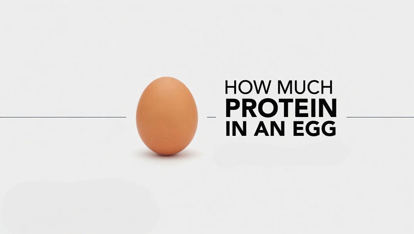 How much protein in an egg
