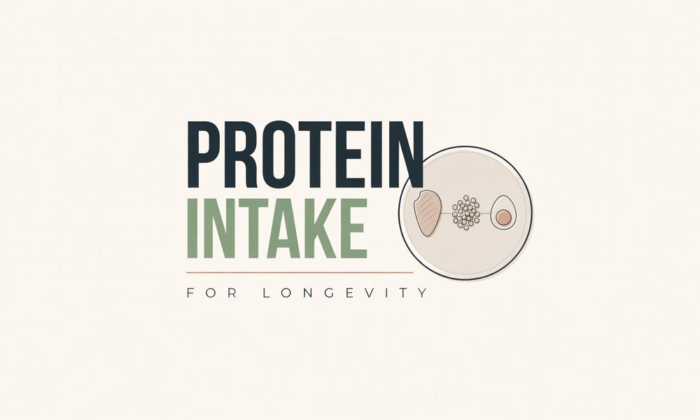 Protein Intake for Longevity