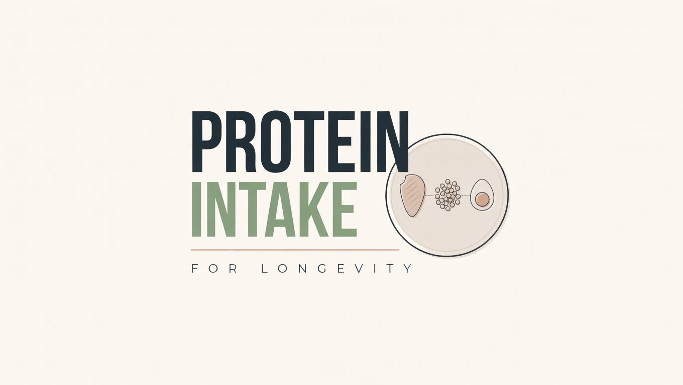 protein longevity