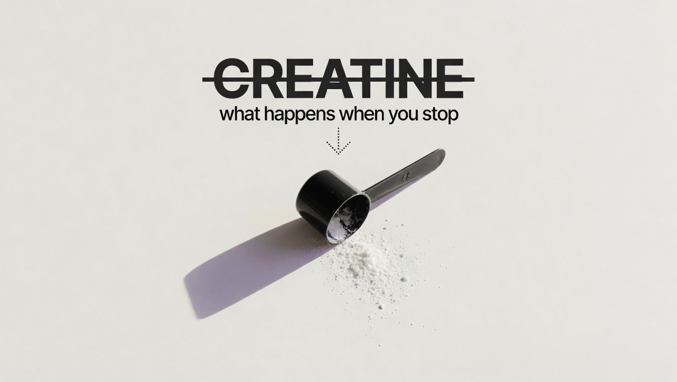 What Happens When You Stop Taking Creatine?