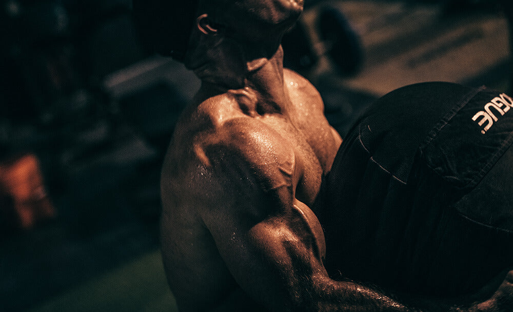 History & Uses of Tongkat Ali