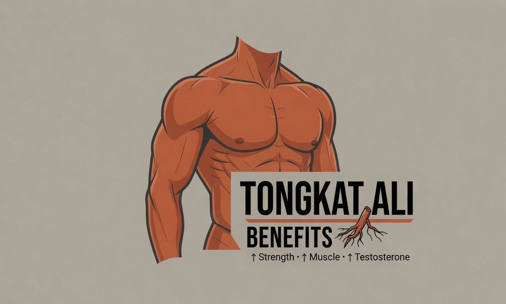 Tongkat Ali Benefits