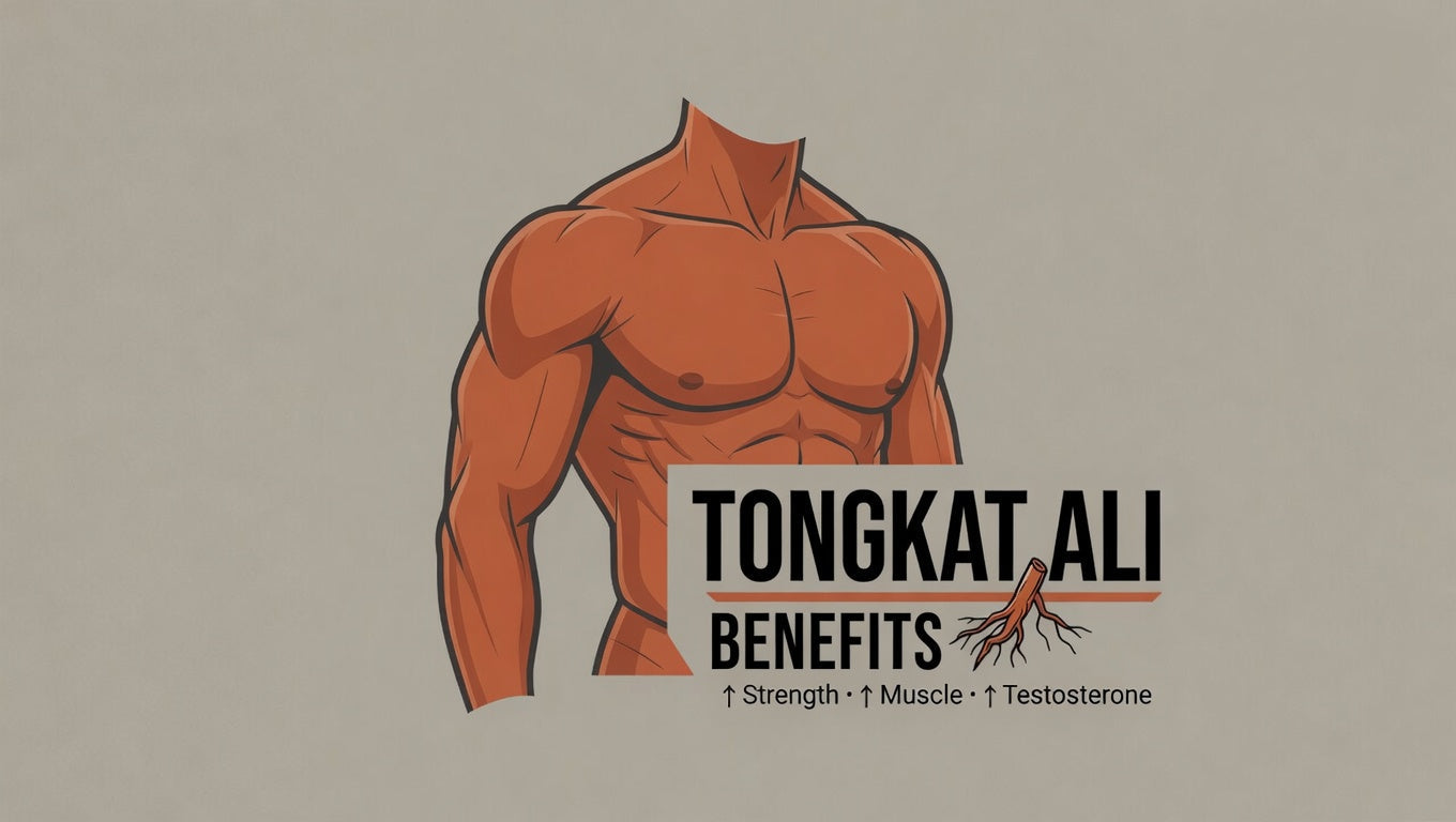 Tongkat ali benefits