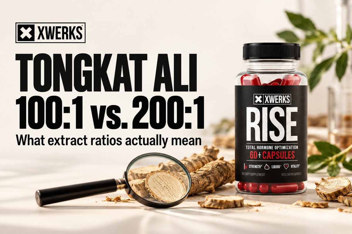 Tongkat Ali extract-ratio guide with XWERKS Rise and botanical roots