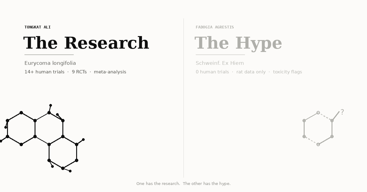 Tongkat Ali vs. Fadogia Agrestis