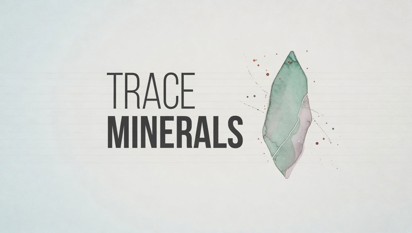 Trace minerals 